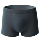 Underwear Cotton Boxer Shorts