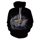 Two Cat Sweatshirts Long Sleeve 3D Hoodies Sweatshirt Pullover - Alt Style Clothing