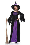 Enchanting Witch Vampire Purple Carnival Costume Set