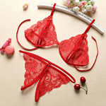 Contrast Color Lace Lingerie Set - Wire-Free, Sensual Seamless Underwear