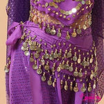 Belly Dance Hip Scarf Belly Dancing Belt Sexy Chiffon - Alt Style Clothing