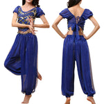 Belly Dancer Costume Puff Sleeves Sequin Top with Harem Pants - Alt Style Clothing