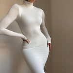 Nadafair Turtleneck Long Sexy Bodycon Dress With Long Sleeves
