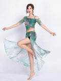 Sexy Women Belly Dance Suit Bellydance Costume Dancing Skirt Belly Dance Top - Alt Style Clothing